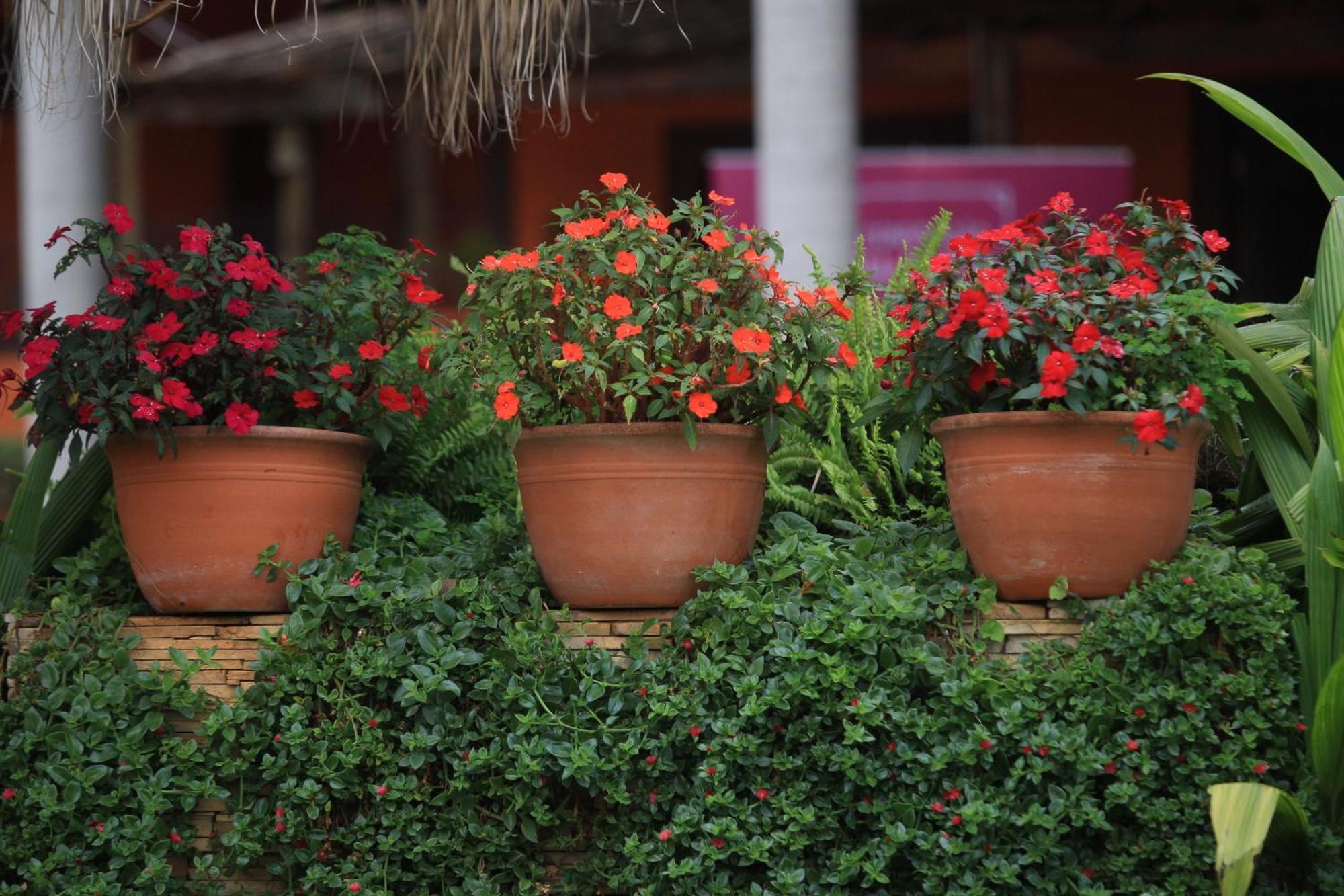Hotel Fazenda Santa Monica Louveira Zewnętrze zdjęcie